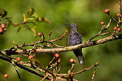 Epic Games即将升级《堡垒之夜》服务器 增加新节点